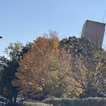 レイドバックバーガー - 