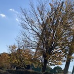 レイドバックバーガー - 