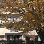 レイドバックバーガー - 