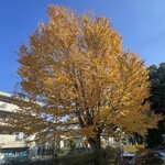 レイドバックバーガー - 