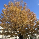 レイドバックバーガー - 