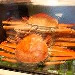 ビストロ割烹 YAOYA - 