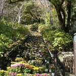 総本舗　白酒屋 - 