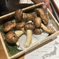 馳走 啐啄一十  - 