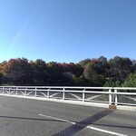 パーク ラホーリー レストラン - 荒子川公園は紅葉始まったばかり