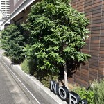 NORI - 