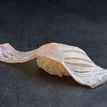 鮨バル 月のね - 真鯛