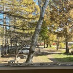 terasaki coffee kobuchisawa - 