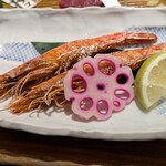 酒湊 - 店の水槽で泳いでいたえび