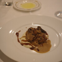 Pigeon - 