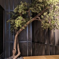 現代里山料理 ZEN HOUSE - 