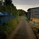 Picnic Bear's Hill - 