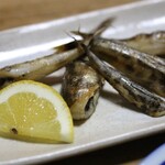 サラリーマン酒場　竹の子 - 