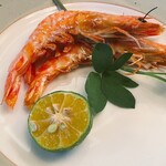 ステーキレストラン パポイヤ - 