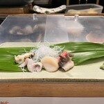 千春鮨 札幌店 - 