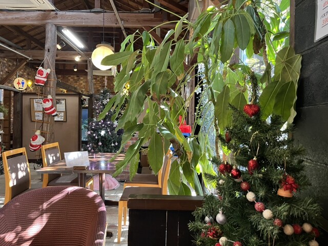 Belltree Nisshin photo 4