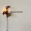 amam dacotan 表参道店