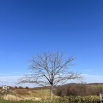 カフェアンドレスト ハートン・ツリー - 