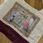 東京ディズニーシー・ファンタジースプリングスホテル - ファンタジースプリングスグランドシャトーの内部をイラスト化してありました。