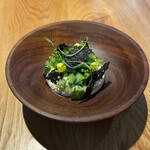 リヴィエール キャレ - 若狭湾・一本釣りアオリイカ