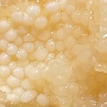 銀座 しのはら - 数の子のフライ