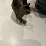 宮崎ごはんとお酒 ハイク - 