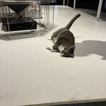 宮崎ごはんとお酒 ハイク - 