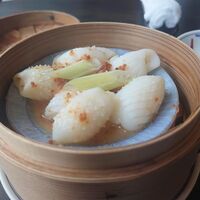 家寶 跳龍門 - 