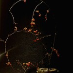 日本焼肉はせ川 別亭 - 