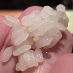 初音鮨 - まずはシャリの味見から