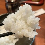 酒肴 新屋敷 - この艶やかさよ