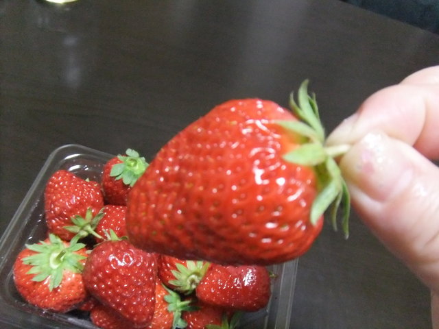 せいちゃんといちごちゃん - 厄神/その他 | 食べログ