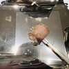 SALONE 2007 - A5サーロインのスピエディーノ