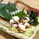 四国三郎 よしの川 - 