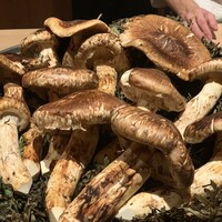 御料理ふじ居 - 