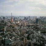 フォーティーファイブ - 眺望