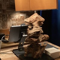 CICADA - 