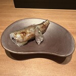 恵比寿 鮨 ふじまさ - 