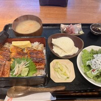 魚感うえさき - 穴子重