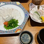 Marusanya 福井片町 - てっさはこの量で一人前。たたきは身が厚く食べ応えあり。