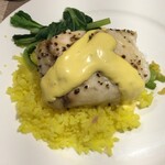 Captain Cook Cruises - 