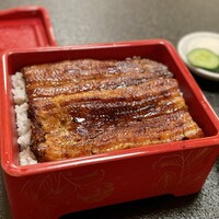 満寿家 - うな重 特上