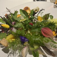 レフェルヴェソンス - 