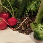 天★ - ふりかけドレッシング