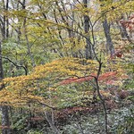 うぐいす茶屋 - 秋らしい景色