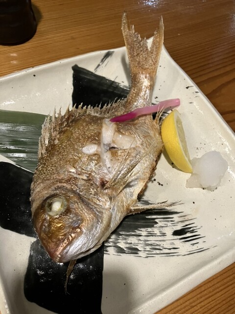 魚きがるに酒場 - 山形（居酒屋）の写真
