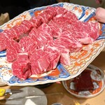 関本恭平 - ロマンシングサガリ