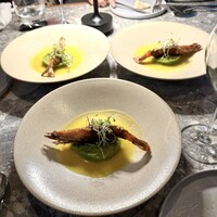 L'atelier de oto - 