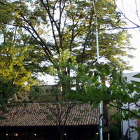 リストランテASO - 