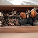 リュミエール - 